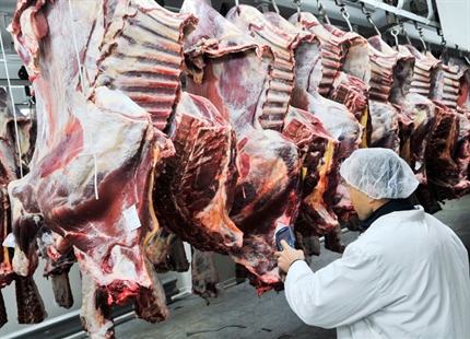 تقلل وحدات الترطيب من نسبة فقدان وزن الذبائح